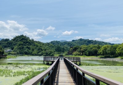 2022年里山生活市集將於東勢林業文化園區辦理-園區美景