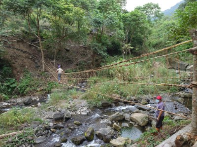 大安溪流域重現泰雅傳統藤橋