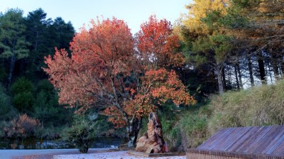 小雪山資訊站