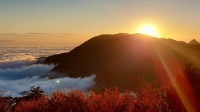 大雪山楓紅雲海與夕陽