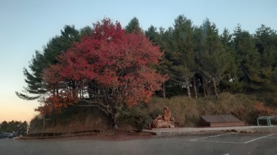 小雪山楓紅