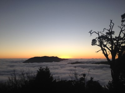 大雪山國家森林遊樂區