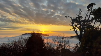 夕陽雲海