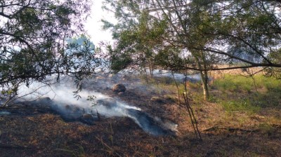 橫山公墓火警延燒