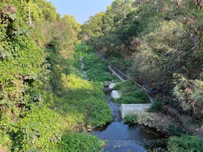 帶民眾了解相對低度擾動的濱溪植被，提供生物隱蔽度及棲地功能