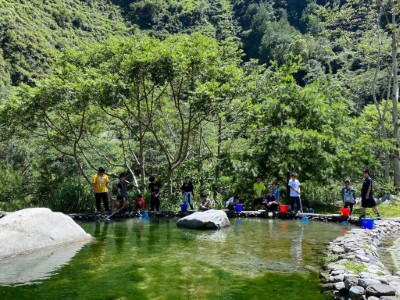 尋找水中的生物