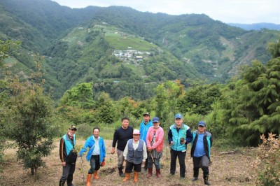 共同植樹