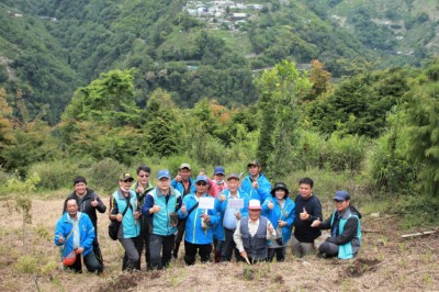 東勢林區管理處與梨山地區佳陽部落共同合作栽植臺灣山茶