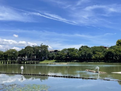 國產材漂流木裝置藝術「-覓－棲－渡-」