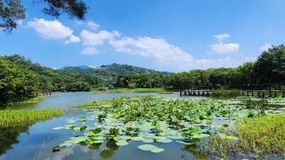 文化園區貯木池美景