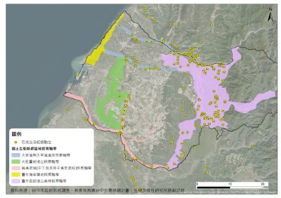 本分署綠網保育軸帶與歷年石虎出沒紀錄點位關係圖