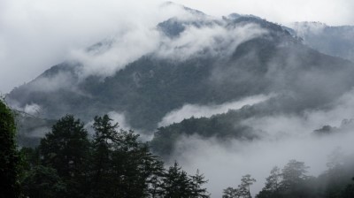 八仙山國家森林遊樂區