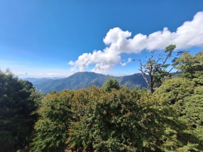 大雪山國家森林遊樂區-遊客中心山景