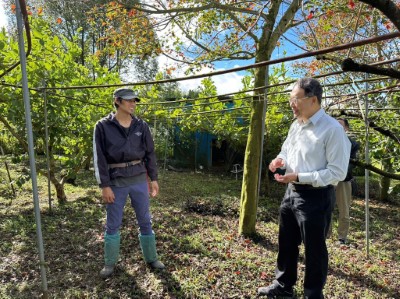 現場踏訪香川部落合作夥伴的友善果園