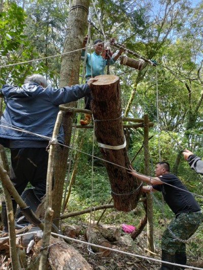 將木頭上集材架準備運送下山