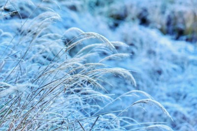 結霜後的小雪山景色