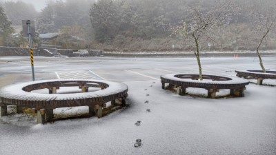 大雪山國家森林遊樂區雪景