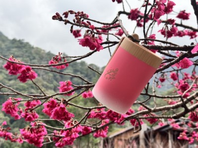 櫻花凹豆杯與山櫻花
