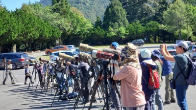 賞鳥客拍攝鳥類