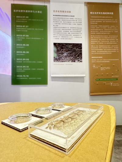 百步蛇野外護卵孵化紀錄特展