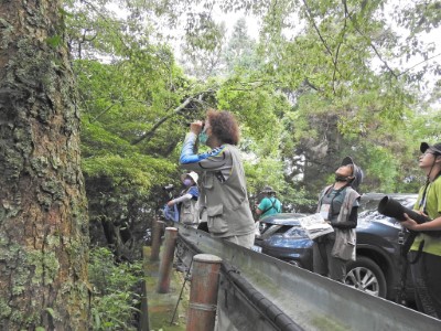 賞鳥達人帶領實際體驗賞鳥樂趣(社團法人台灣野鳥協會提供)