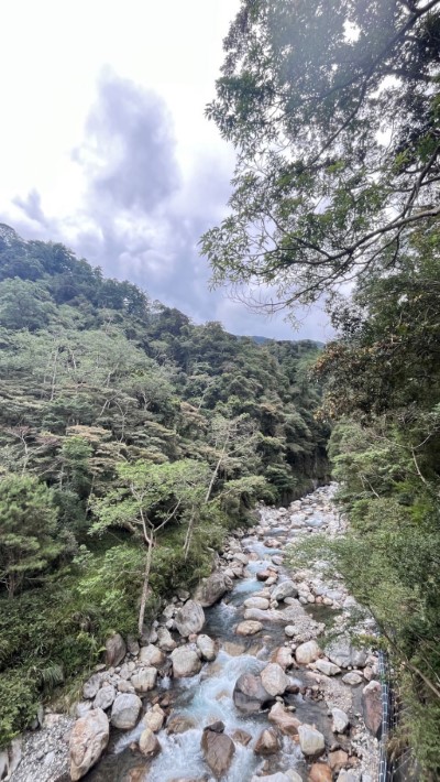 八仙山國家森林遊樂區