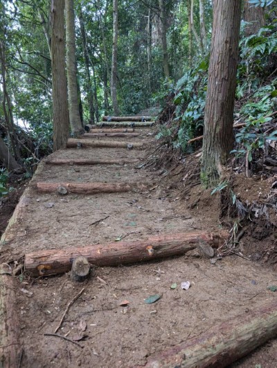 浮根步道經過友善環境工法後，變成平穩好走的土木步道