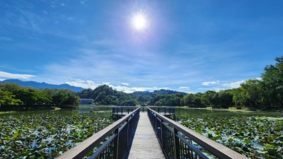 東勢林業文化園區貯木池景色