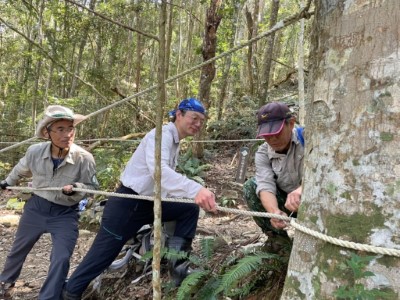 八仙山拉指示牌和淨山