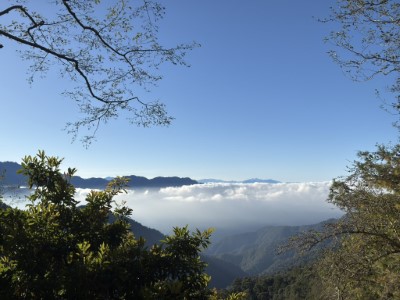 大雪山國家森林遊樂區雲海