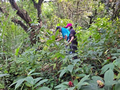 台中市霧峰區桐林社區發展協會自組「食蛇龜巡守隊」，積極參與食蛇龜棲地巡護工作