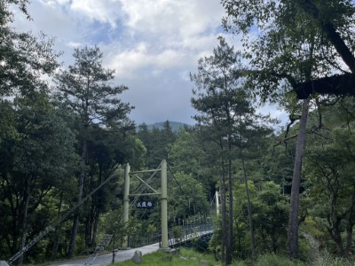 武陵國家森林遊樂區景色