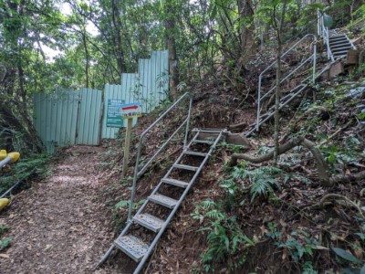 東卯山步道復舊拆除設施