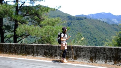 大雪山『森chill健走日』活動圖(照片：林業及自然保育署臺中分署)