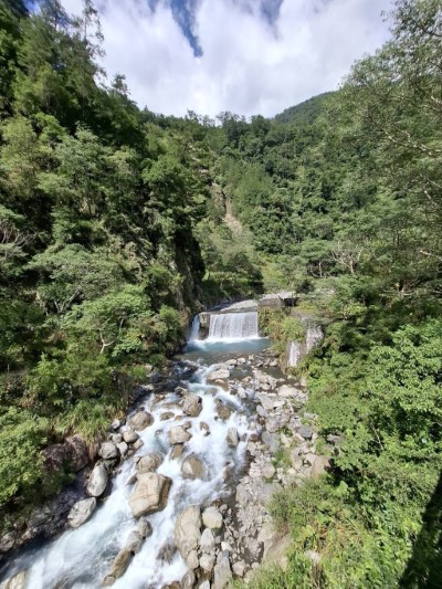 八仙山國家森林遊樂區風景(照片：林業及自然保育署臺中分署)