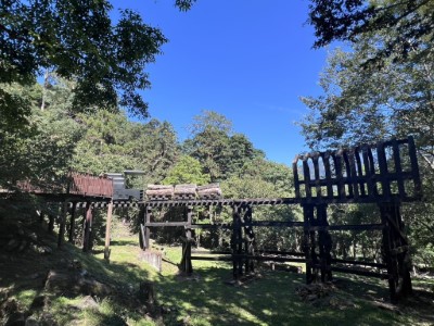 八仙山國家森林遊樂區景色。(照片：林業及自然保育署臺中分署)