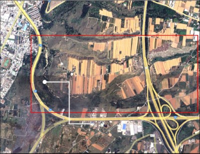 114年衛星影像顯示經多年治理復育有成植生恢復生機蓬勃!