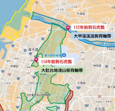 石虎族群在大肚山南北棲地連接展現曙光