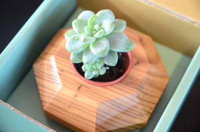 柳杉八角型木盆