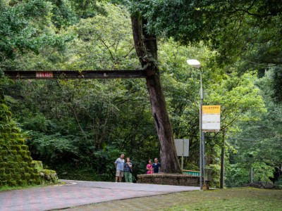 八仙山國家森林遊樂區圓環站牌安裝生態照明燈具