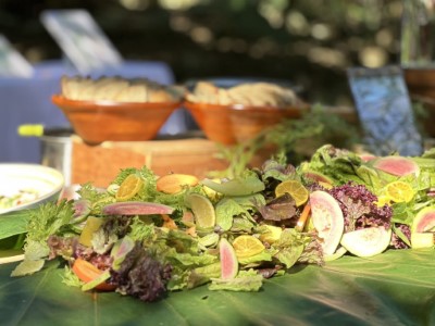 邀請生態廚師以友善環境的傳統作物為食材示範料理，製作特色料理、風味點心