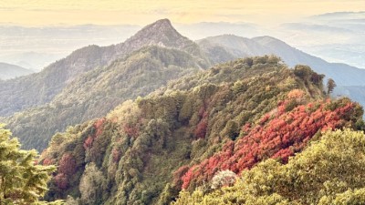 楓紅與晚霞_吳耀琪攝