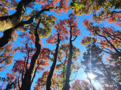 繽紛多彩的大雪山秋季山景_鴻凱攝