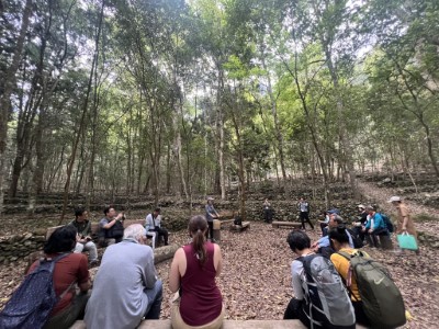 久良栖森林療癒活動