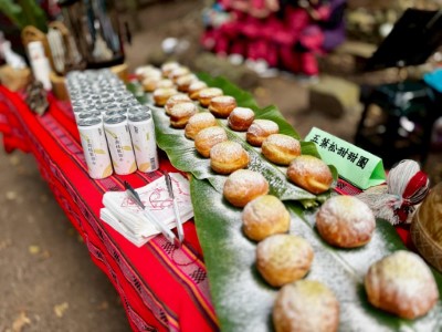 森林療癒基地享用五葉松甜甜圈