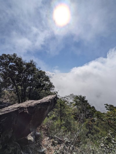 波律加山步道-青蛙石