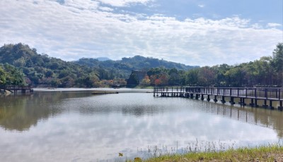文化園區湖畔景致