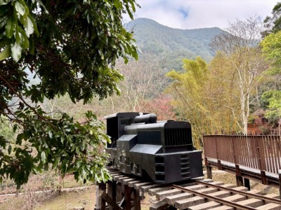 八仙山過往林鐵運材痕跡，藉意象重現-2