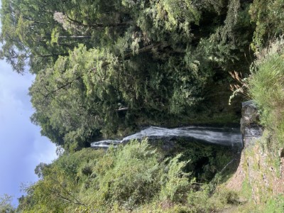 桃山瀑布下，感受豐富芬多精與負離子的洗禮(照片：林業及自然保育署臺中分署)